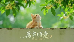 大橘大利，万事顺意