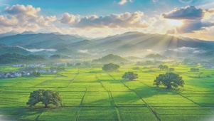 风景世界