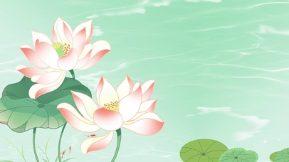 绿色大暑夏季夏天荷花荷叶