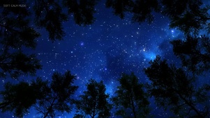 满天繁星