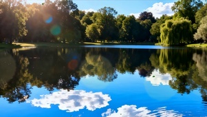 护眼绿景树木河流双屏