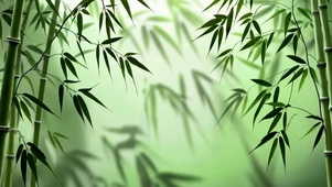 摇曳