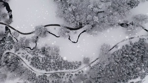 雪(双端)