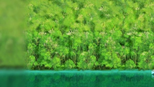 夏日清新