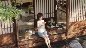 夏风与猫