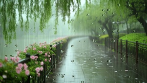 雨中小路