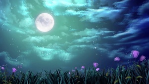 唯美星空花海