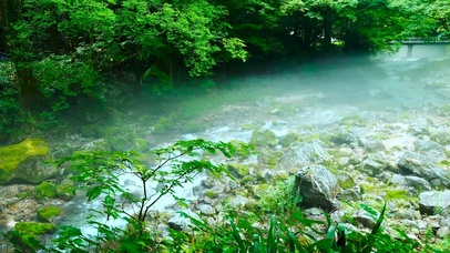 护眼夏日绿林雾气流水