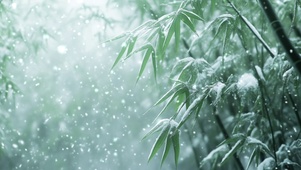 雪中竹林