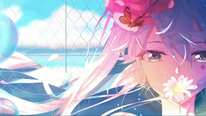 4K蝴蝶之花