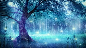 梦幻树林