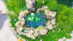 水池锦鲤
