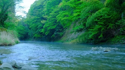 绿林山涧河流