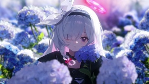 普拉娜 与你的无尽夏