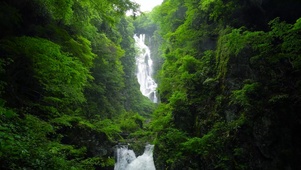 高山绿林瀑布
