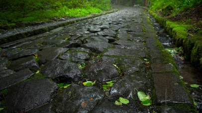 4K雨中的石板路