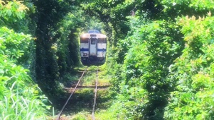 通往夏天的隧道