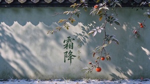 霜降