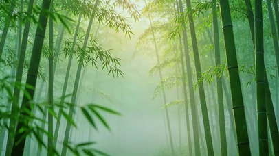 竹林意境