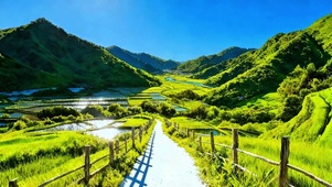 治愈田间小道4K