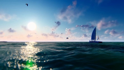 思念与海