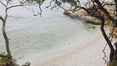 海岸树影温柔海边风光