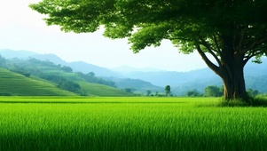 绿色自然景观