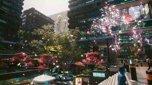 赛博朋克城市樱花风景