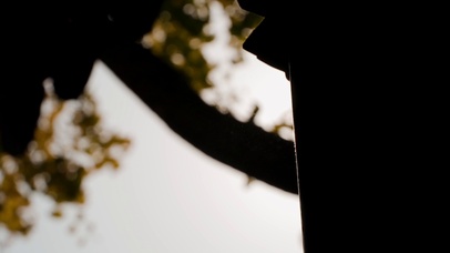 冬季温暖阳光照射唯美逆光