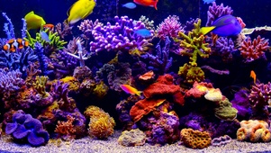 水族馆