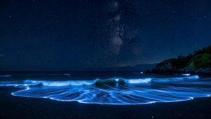 蓝眼泪星空海岸夜景