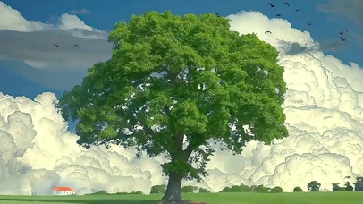 风景一棵树 云彩 草原