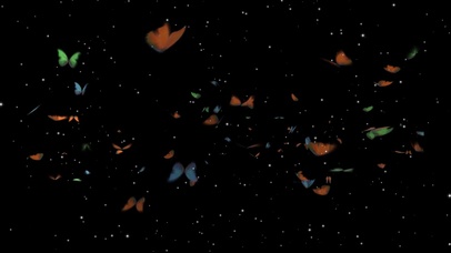 蝶的星空
