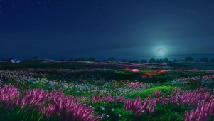 dream