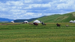 4k北方春季的草原及骏马奔跑