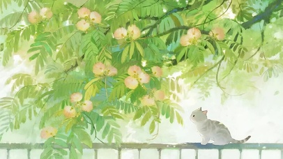 望着树猫咪