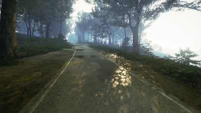 雨后初晴林间马路