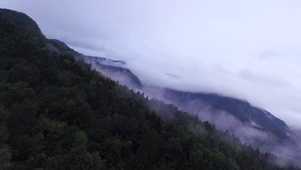 4K 高清 雨云的森林鸟瞰图