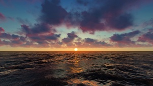 海