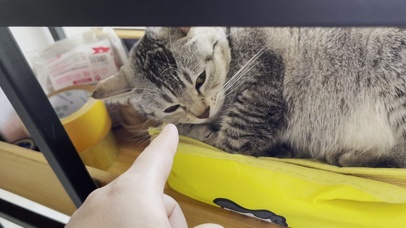 臭臭2