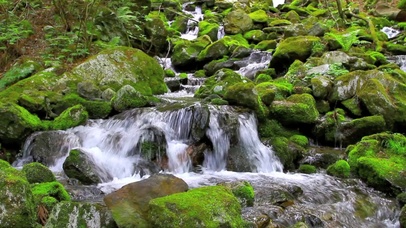 高清清新山清水秀水流流落