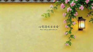 心有清欢日日安