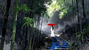 雨季竹林漫步