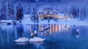 治愈雪景