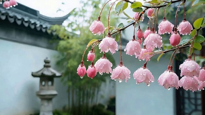 雨天护眼花树