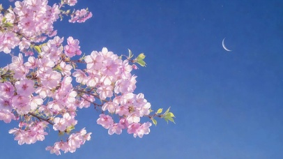 蓝天樱花弯月唯美壁纸