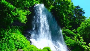 夏日绿林瀑布