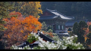 秋天寺庙