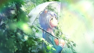 雨伞