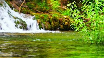 清新治愈溪流4K